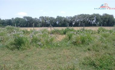 Agrícola en Venta en León Bustos 12, Linares