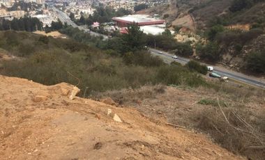 Parcela en Arriendo en Camino Internacional