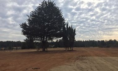 Parcela en Arriendo en Camino Internacional