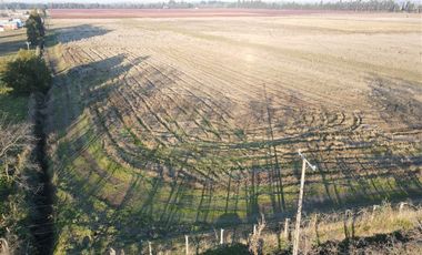 Parcela en Venta en Chillan a Cato sector Capilla Cox, parcelas, planas, excelente ubicación