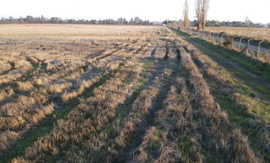 Parcela en Venta en Chillan a Cato sector Capilla Cox, parcelas, planas, excelente ubicación