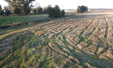 Parcela en Venta en Chillan a Cato sector Capilla Cox, parcelas, planas, excelente ubicación