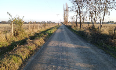 Parcela en Venta en Chillan a Cato sector Capilla Cox, parcelas, planas, excelente ubicación