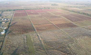 Parcela en Venta en Chillan a Cato sector Capilla Cox, parcelas, planas, excelente ubicación