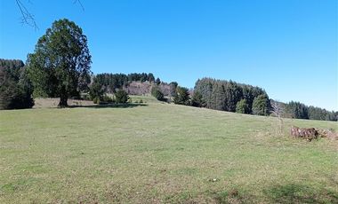 Parcela en Venta en Futrono