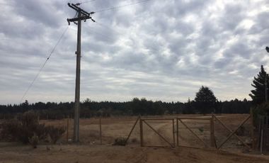 Terreno Construccion  en Arriendo en Camino Internacional