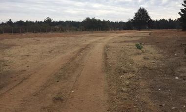 Terreno Construccion  en Arriendo en Camino Internacional