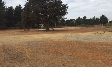 Terreno Construccion  en Arriendo en Camino Internacional