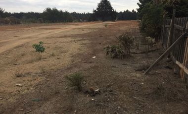 Terreno Construccion  en Arriendo en Camino Internacional