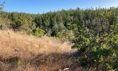 Parcela en Venta en HIJUELA , ALTO COLORADO