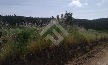 Parcela en Venta en HIJUELA , ALTO COLORADO