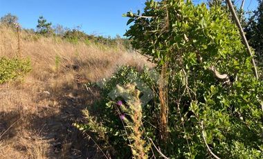 Parcela en Venta en HIJUELA , ALTO COLORADO