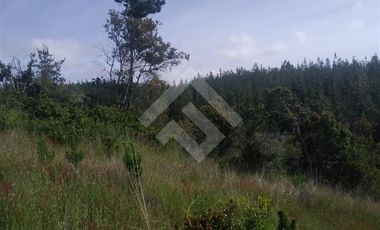 Parcela en Venta en HIJUELA , ALTO COLORADO