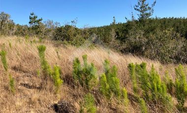 Parcela en Venta en HIJUELA , ALTO COLORADO
