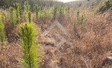 Parcela en Venta en HIJUELA , ALTO COLORADO