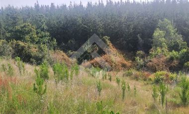 Parcela en Venta en HIJUELA , ALTO COLORADO