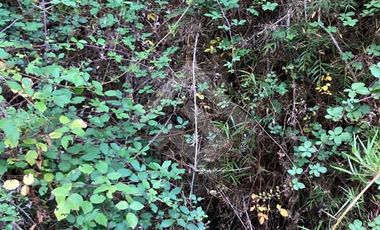 Parcela en Venta en HIJUELA , ALTO COLORADO