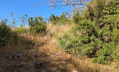 Parcela en Venta en HIJUELA , ALTO COLORADO