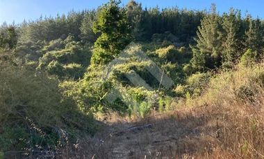 Parcela en Venta en HIJUELA , ALTO COLORADO