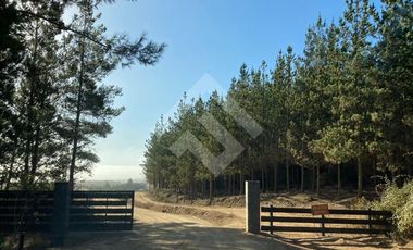 Parcela en Venta en HIJUELA , ALTO COLORADO