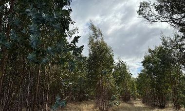 Sitio en Venta en Sitios en Las Lajuelas, Huampuli San Nicolas
