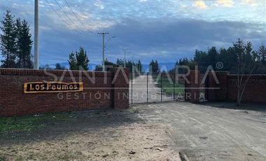 Terreno Construccion en Venta en unihue, concepcion