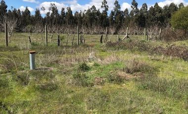 Parcela en Venta en Ruta 5 Sur, Q550