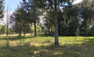 Parcela en Venta en Ruta 5 Sur, Q550