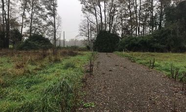 Sitio en Venta en Crucero Río Bueno