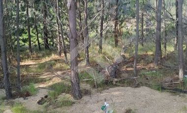 Parcela en Venta en HIJUELA , ALTO COLORADO