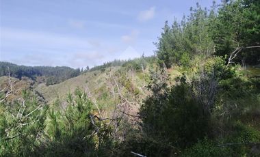 Parcela en Venta en HIJUELA , ALTO COLORADO