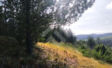 Parcela en Venta en HIJUELA , ALTO COLORADO