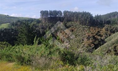 Parcela en Venta en HIJUELA , ALTO COLORADO