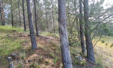 Parcela en Venta en HIJUELA , ALTO COLORADO