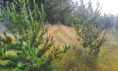 Parcela en Venta en HIJUELA , ALTO COLORADO