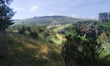 Parcela en Venta en HIJUELA , ALTO COLORADO