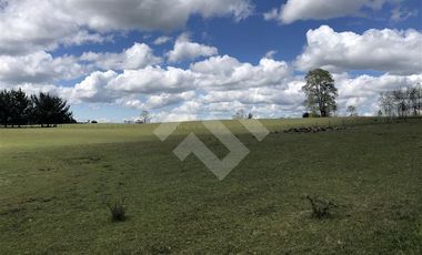Sitio en Venta en Hijuela N° 4, Lote 1 comuna de Purranque