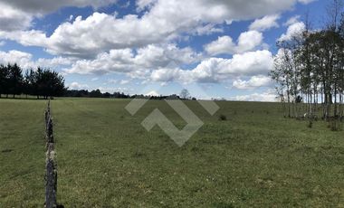 Sitio en Venta en Hijuela N° 4, Lote 1 comuna de Purranque