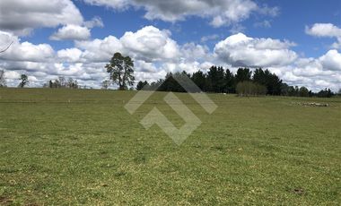 Sitio en Venta en Hijuela N° 4, Lote 1 comuna de Purranque