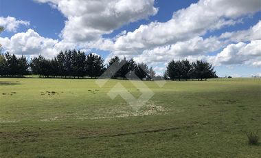 Sitio en Venta en Hijuela N° 4, Lote 1 comuna de Purranque