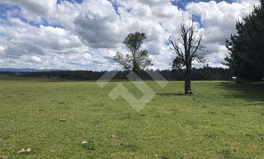 Sitio en Venta en Hijuela N° 4, Lote 1 comuna de Purranque