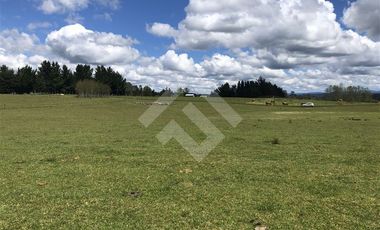 Sitio en Venta en Hijuela N° 4, Lote 1 comuna de Purranque
