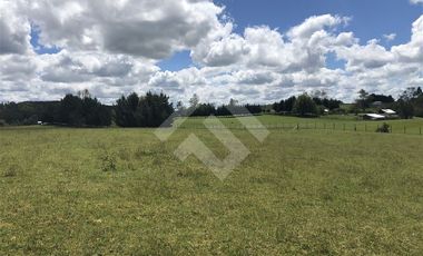 Sitio en Venta en Hijuela N° 4, Lote 1 comuna de Purranque