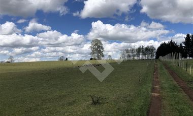 Sitio en Venta en Hijuela N° 4, Lote 1 comuna de Purranque