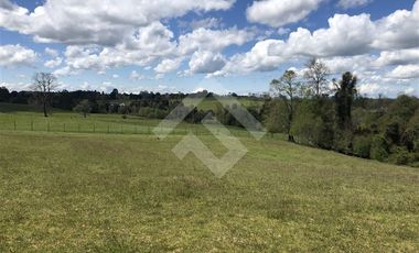 Sitio en Venta en Hijuela N° 4, Lote 1 comuna de Purranque
