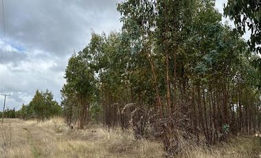 Parcela en Venta en Sitios en Las Lajuelas, Huampuli San Nicolas