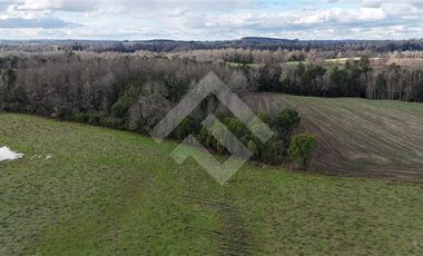 Sitio en Venta en Fundo Parga Beatas