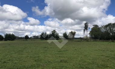 Sitio en Venta en Fundo Parga Beatas