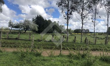 Sitio en Venta en Fundo Parga Beatas