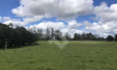 Sitio en Venta en Fundo Parga Beatas